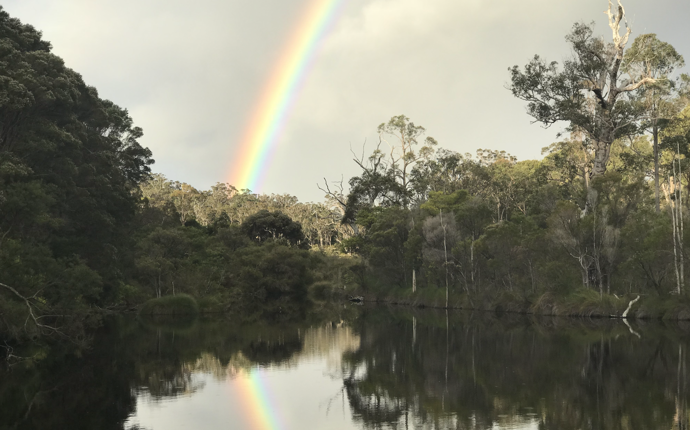 Holding Onto Humanity in Dark Times